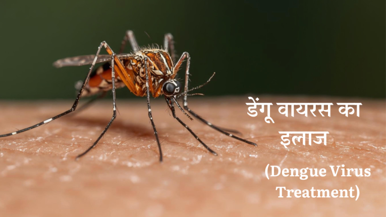 डेंगू वायरस के प्रकार, और इलाज | Types of dengue and treatment of dengue in Hindi