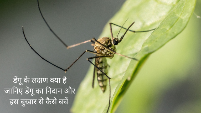 Dengue Virus (2)